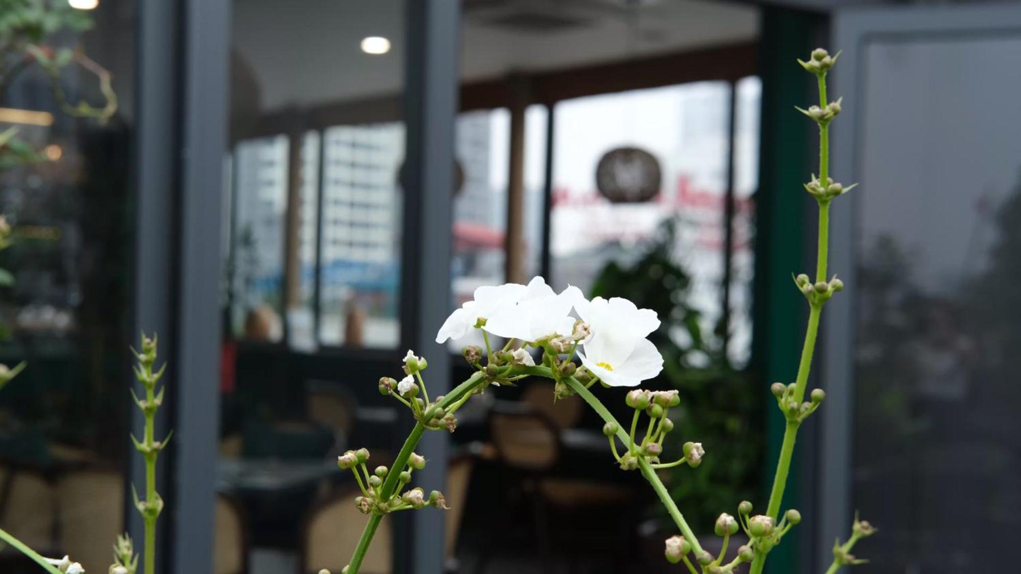 The Bloom Classic - Hotel And Bistro Ανόι Εξωτερικό φωτογραφία