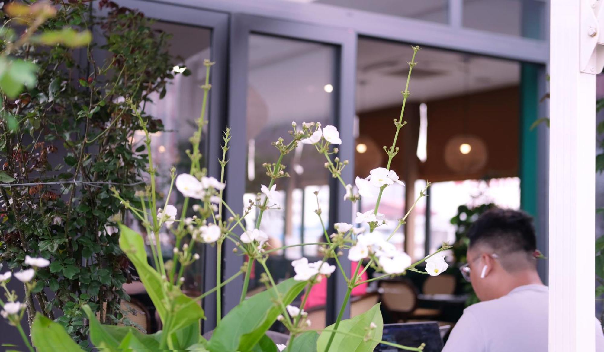 The Bloom Classic - Hotel And Bistro Ανόι Εξωτερικό φωτογραφία